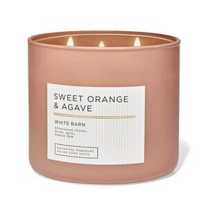 Bath & Body Works 3-Wick Candle 2-pack (new with tags)